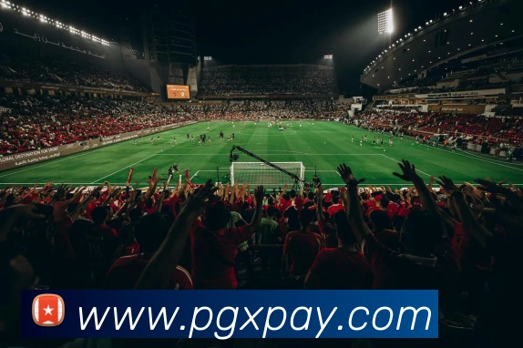 pgAPP 封面图